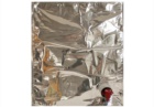 5 lt. wine bag 