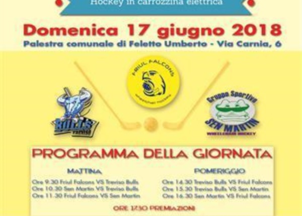 2018_locandina_Friul_Falcons_Cup_03 