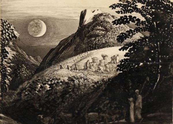 S. Palmer 6 