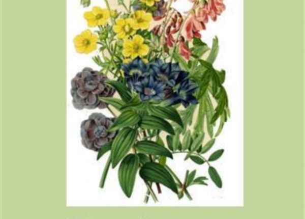 copertina fiori 