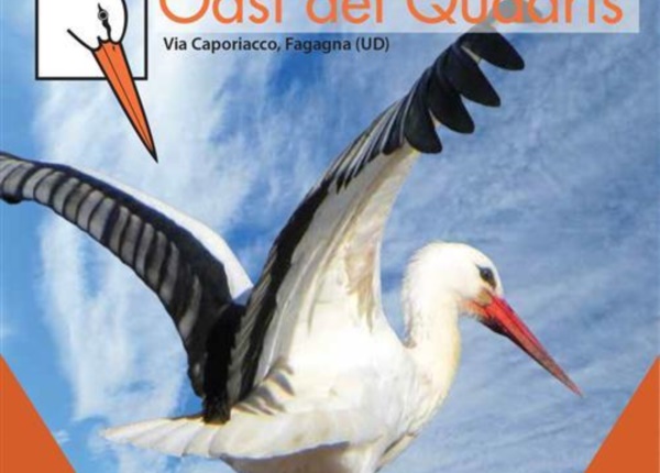 flyer-giorno cicogna2018 