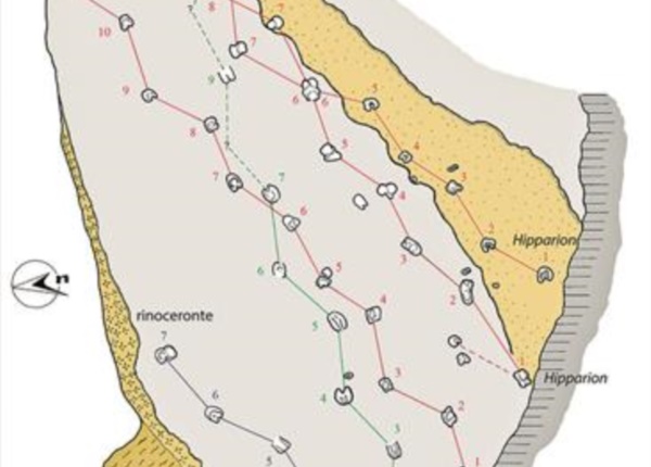 piste mammiferi di osoppo con il trelativo schema (da Dalla Vecchia)2 