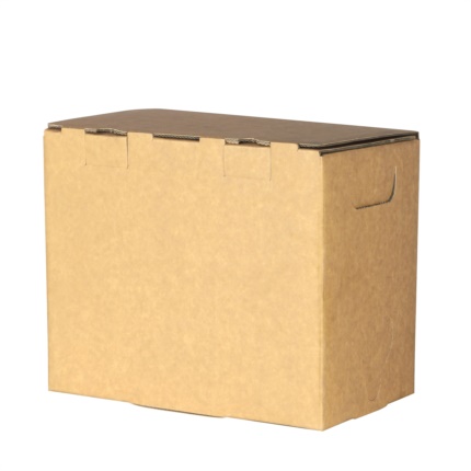 Customizable Bag-in-Box 10 lt. with kraft paper 