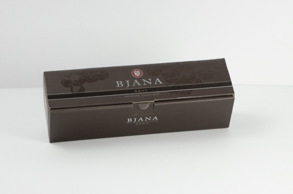 Folder type with silver foil stamping 